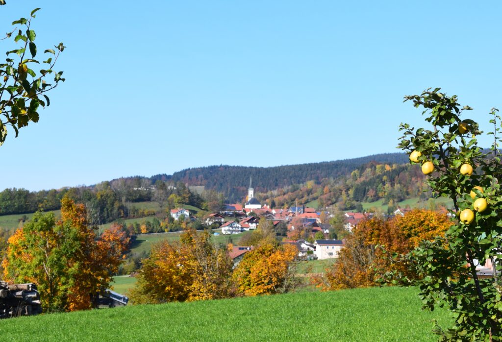 Gemeinde mit Weitblick im Bayerischen Wald