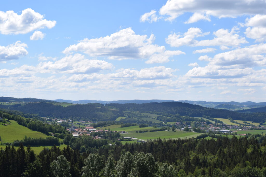 Kienzlberg-Blickrichtung-Grainet-Fuerholz